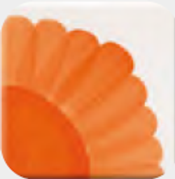 HCT-460 FLAME ORANGE/ПЛАМЕННО-ОРАНЖЕВЫЙ