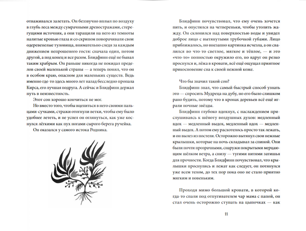 Блидфинн. Четыре путешествия в неизвестность