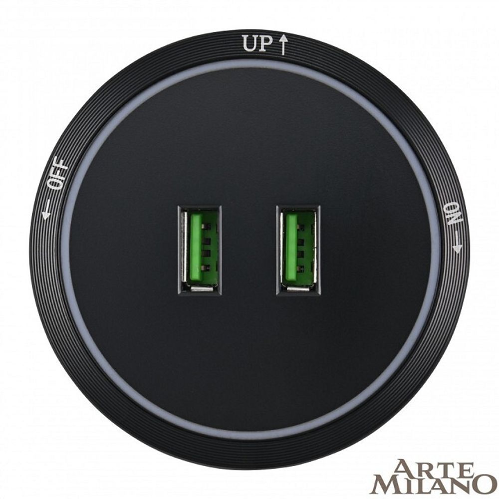 Розетка 2xUSB на треке Arte Milano Am-track-sockets 380066TS LED/USBx2 Black