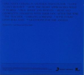 Paul Simon / In The Blue Light (CD)