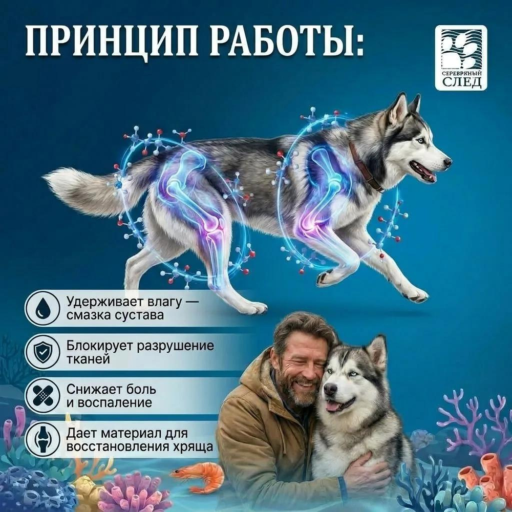 Глюкозамин + Хондроитин + МСМ 150 капсул.