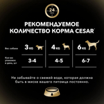 Курица с зелеными овощами в соусе, 85г влажный корм для собак, Cesar