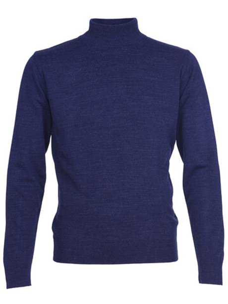 Мужская водолазка STATMEN