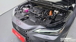 Lexus NX350h 2 Generation Luxury (03.2023)