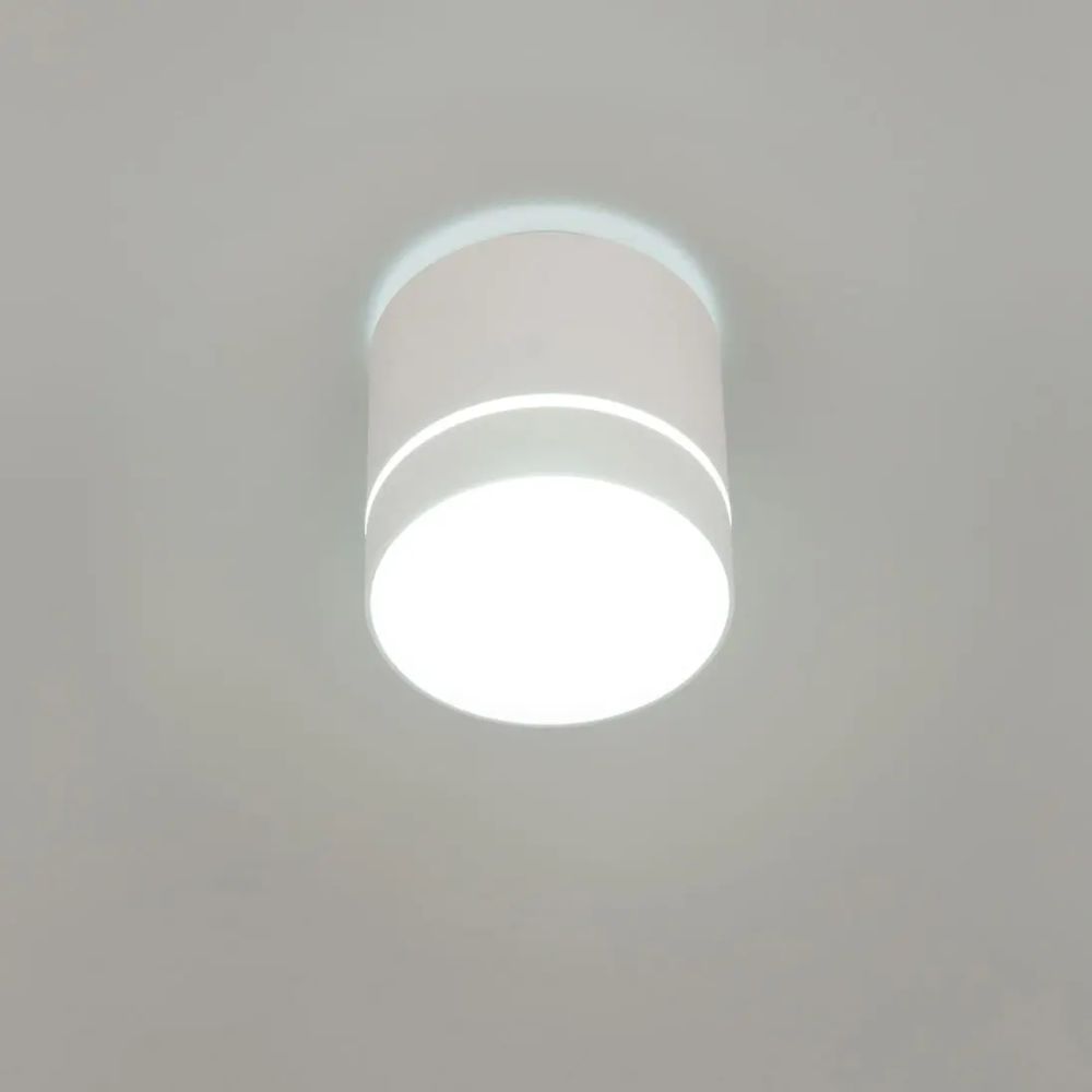 Citilux Борн CL745020N LED Светильник накладной Белый