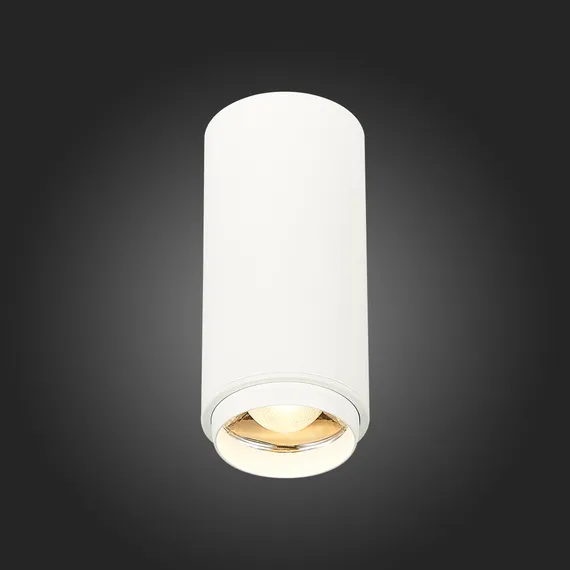 ST600.532.10 Светильник потолочный Zoom Белый LED 1*10W 3000K 1 000Lm Ra>80 15-60° IP20 D59xH130 170 Накладные светильники