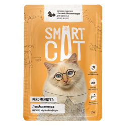 Smart Cat 85 г - консервы (пауч) для кошек и котят с курицей и тыквой (кусочки в соусе)