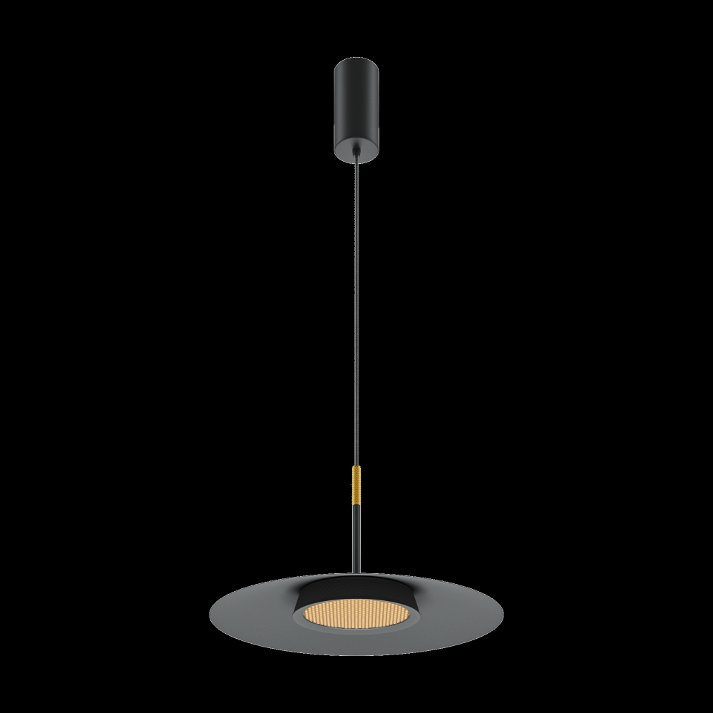 Подвесной светильник Maytoni MOD041PL-L15B3K1