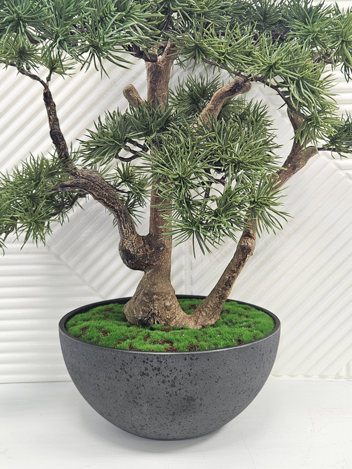 бонсаи искусственные купить москва