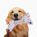 Игрушка «Подарок»