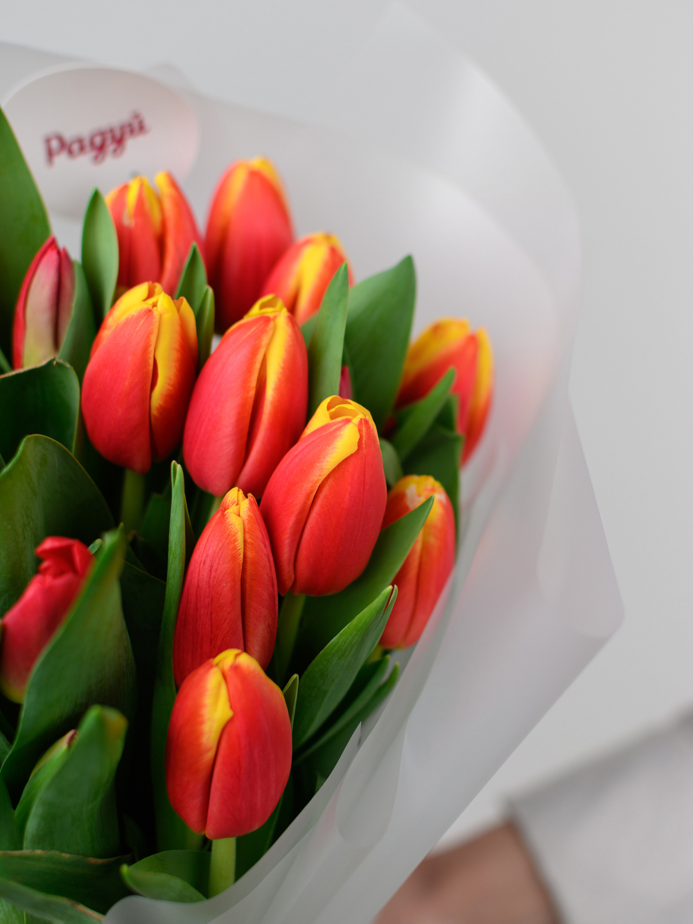 Тюльпаны микс