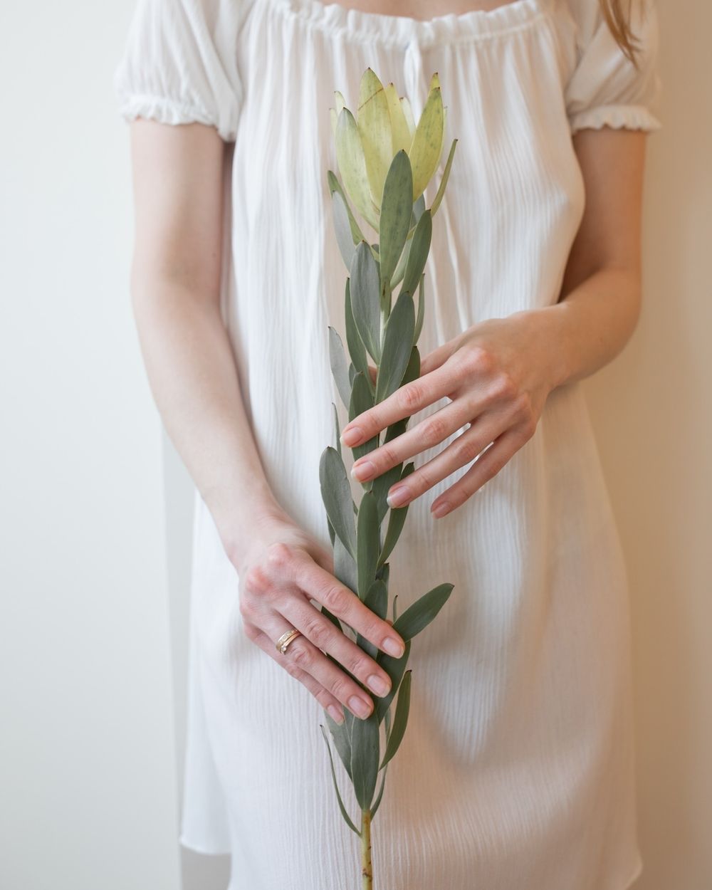 сорочка APPOLONIA mi