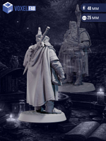 Маг Хранитель Чащи миниатюры для настольных игр РНИ, ДнД