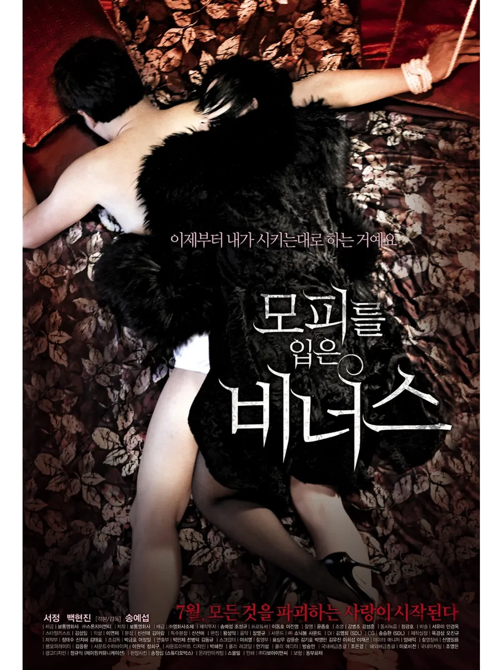 Венера в мехах (2012) (DVD-R)