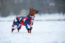 Комбинезон зима НЮША для девочки