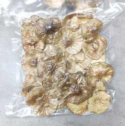 Мухомор пантерный шляпки дисконт