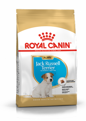 Корм для щенков собак породы терьер Джека Рассела, Royal Canin Jack Russell Terrier Puppy