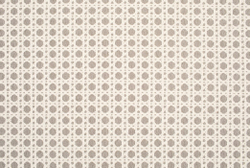 Букле Intellect (Интеллект) 01