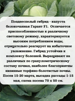 Семена капуста белокочанная Гарант F1 0.2 гр