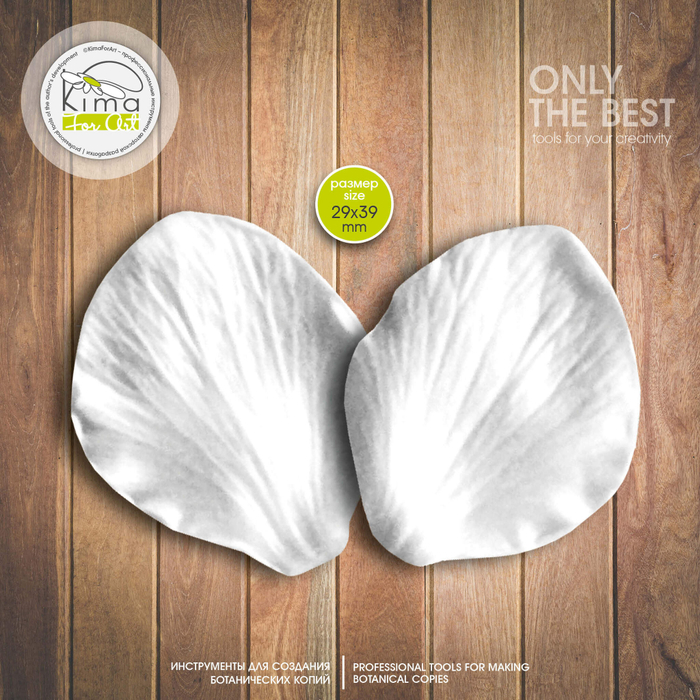 Морозник лепесток маленький