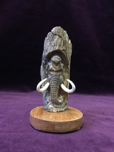 Экран "Мамонт", бивень мамонта