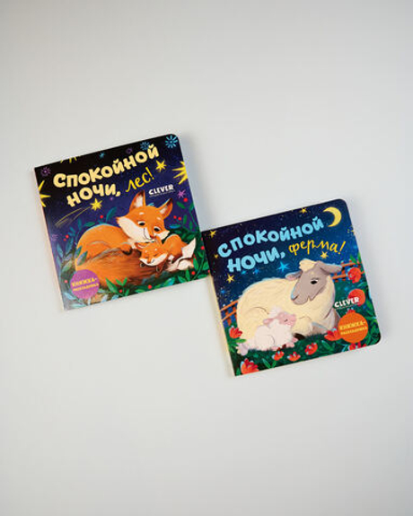 Комплект книжек-раскладушек, 2 книги