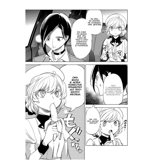 Манга Ложные выводы. Том 4