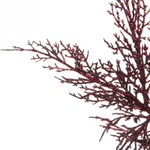 Ветка декоративная «Зимний танец» 27 см, Рубин