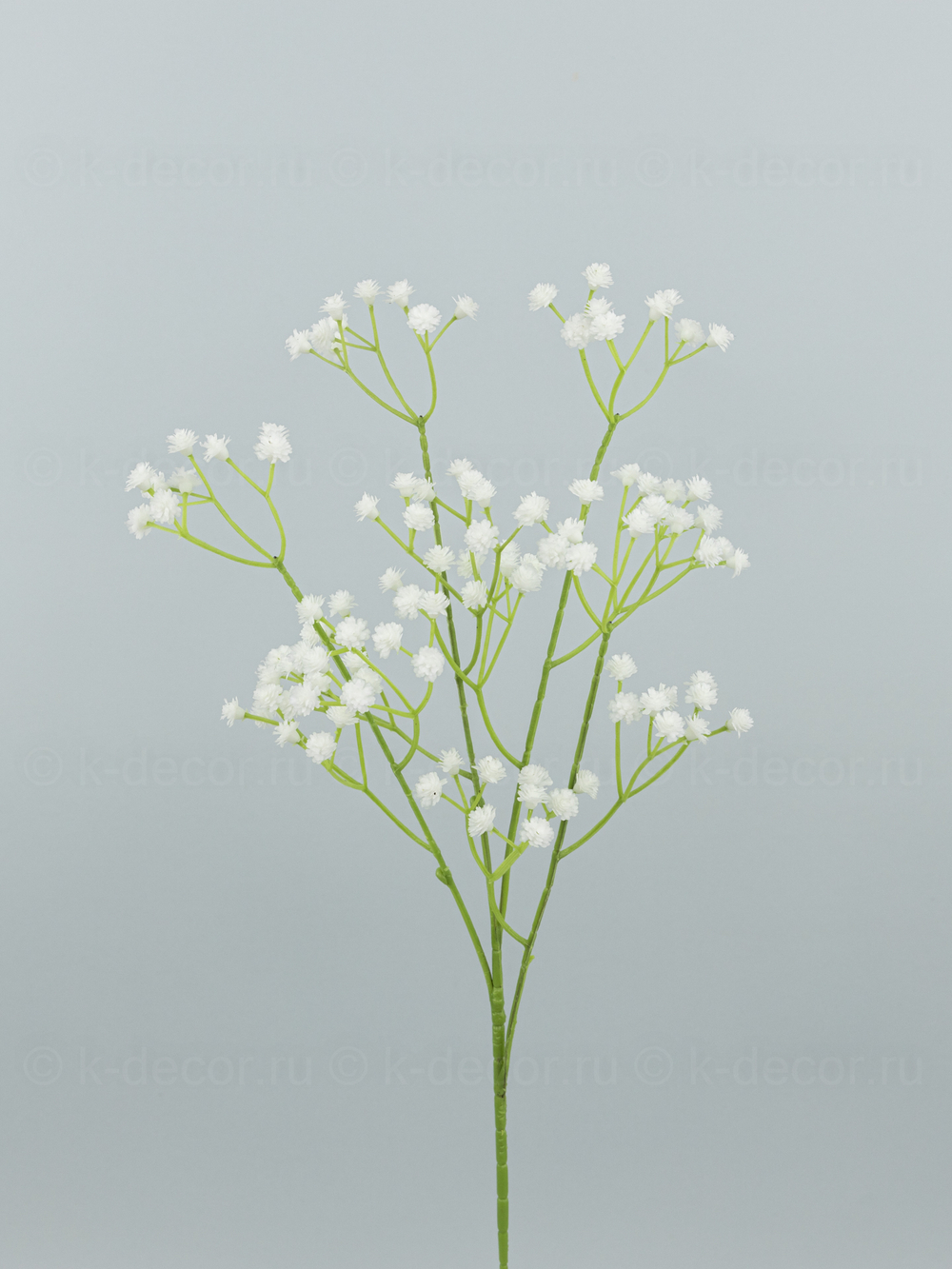 Ветка гипсофилы