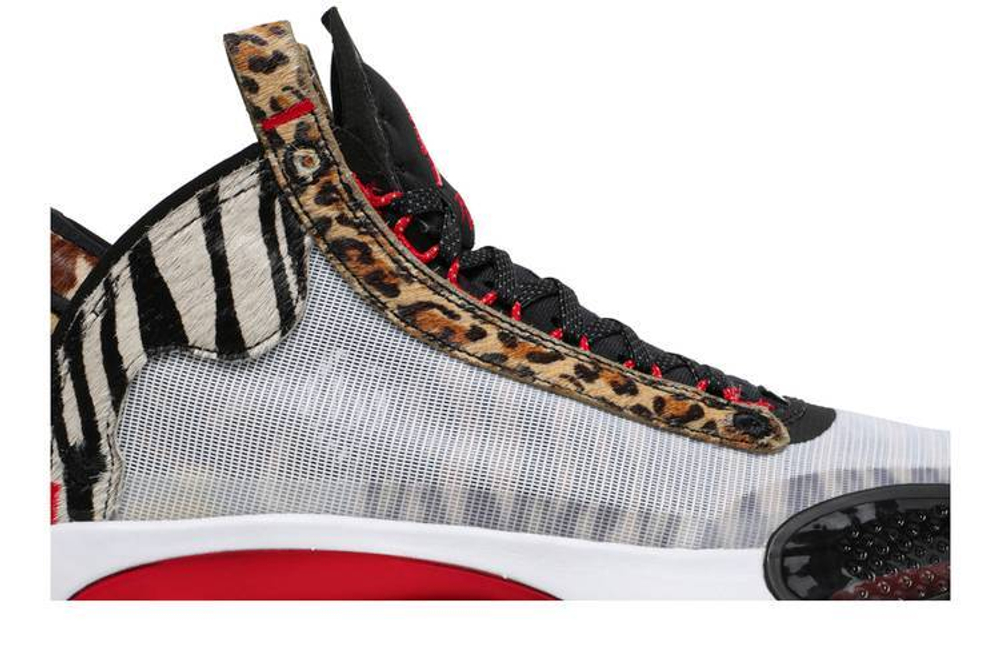 Кроссовки Jayson Tatum X Jordan Air Jordan 34 Welcome To The Zoo Pe