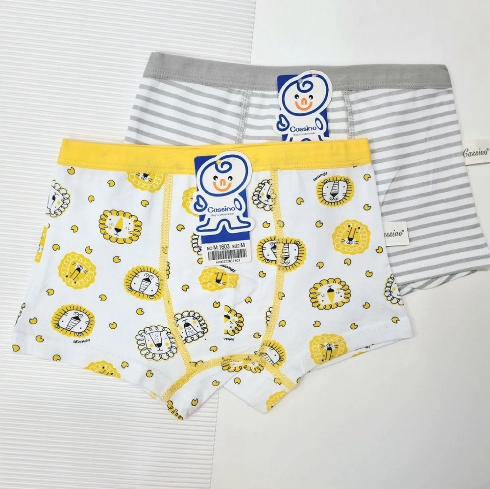 Боксер МАЛЬЧИК М1603 10шт