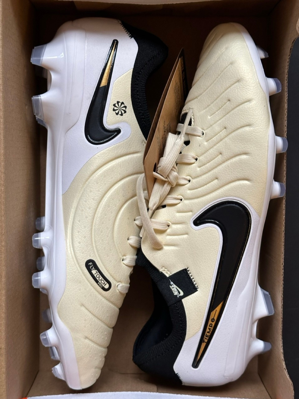 Nike Tiempo Legend 10 Pro FG