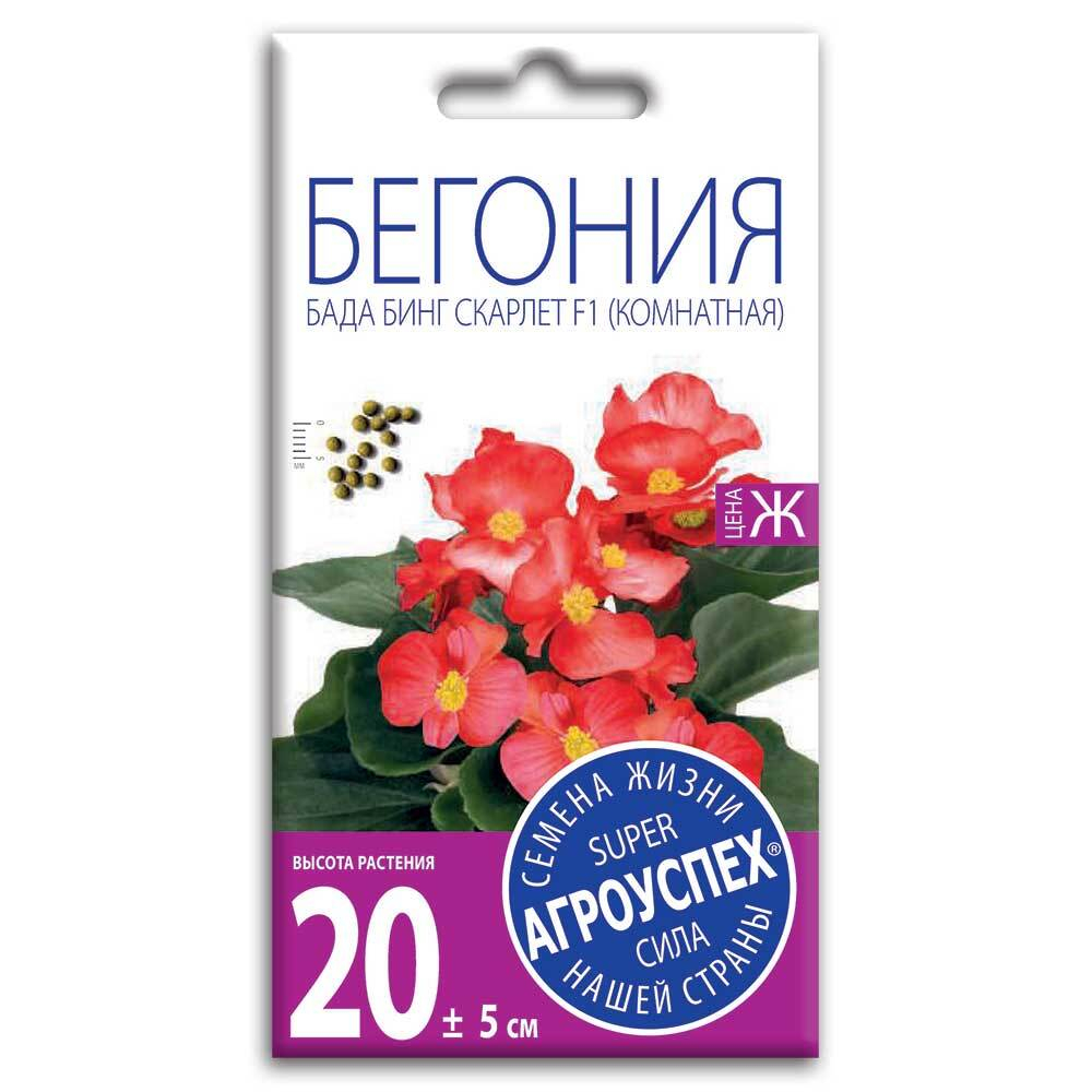 Бегония вечноцветущая Бада Бинг Скарлет F1, семена Агроуспех 10шт