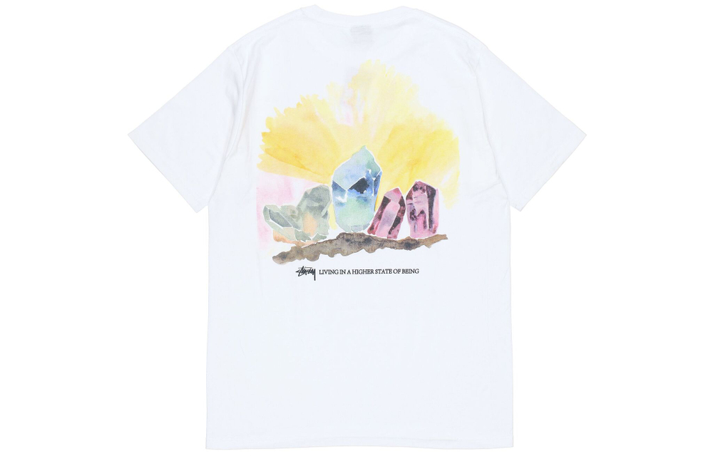 Футболки Stussy Higher State Tee T, 1904709