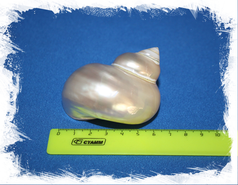 Размеры Турбо полированный