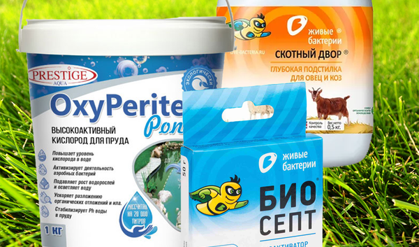 БАКТЕРИИ для фермеров