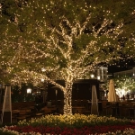 Гирлянда для улицы 16м 180 ламп LED чёрный провод, 8 реж. IP-65, Теплый белый (возможность соединения)