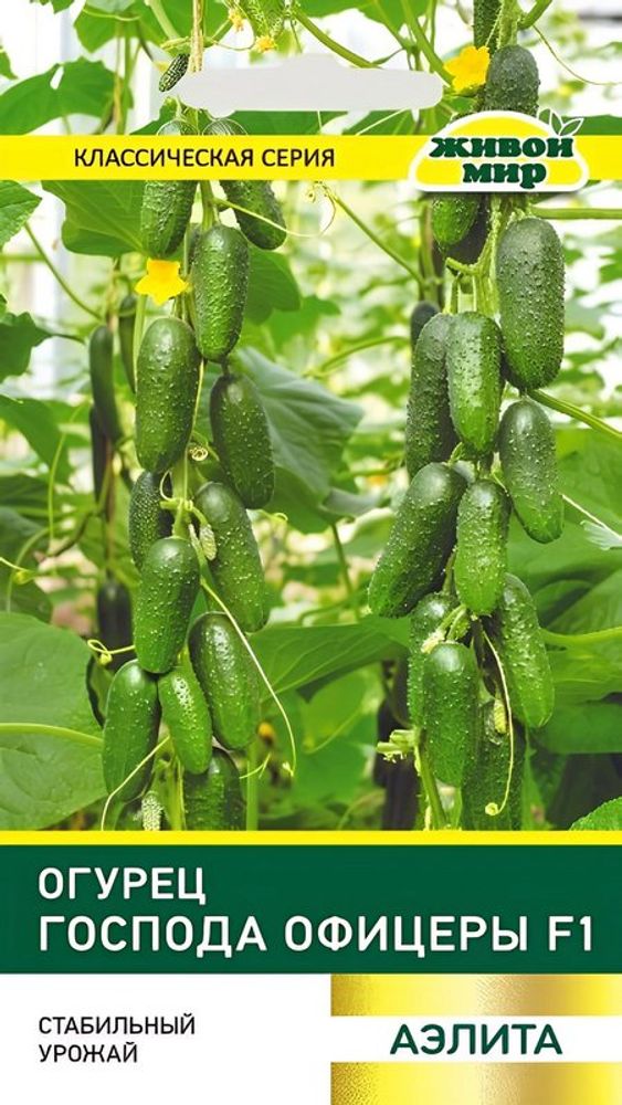 Огурец "ЖМ. Гocпoдa oфицepы F1" 0,25г., Россия.