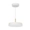 Подвесной светодиодный светильник Arlight SP-Elegant-R300-17W Day4000 033919(1)