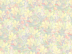 Коллекция FAIRY FOXES