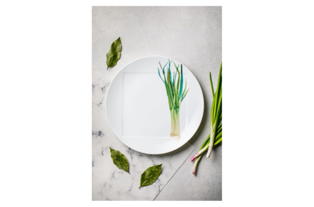 Тарелка обеденная 27см Noritake Овощной букет Зеленый лук