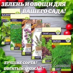Набор семян ароматной зелени для Вашего сада