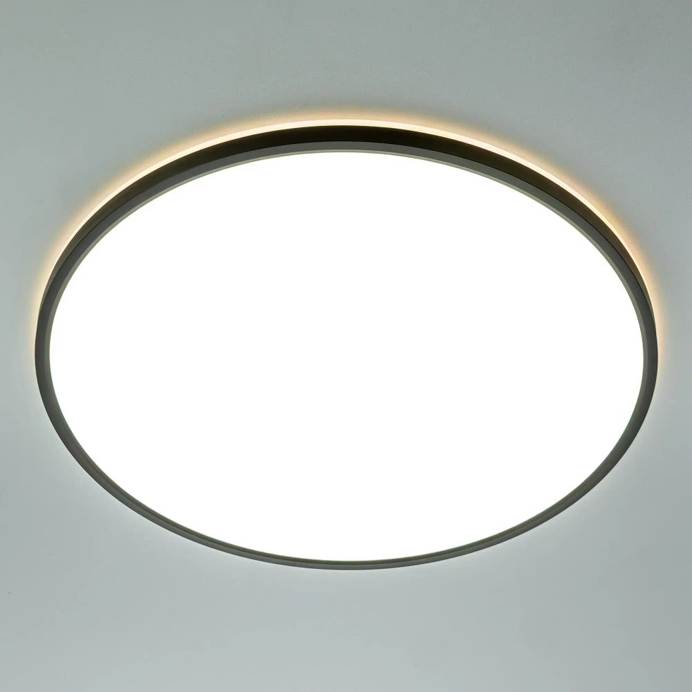 Citilux NORMA CL749501 LED RGB Светильник с пультом Чёрный