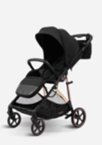 Peppy Коляска прогулочная Amici (Black) рама Gold (LX)