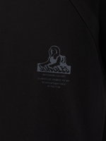 Мужская Футболка Sphinx Raglan