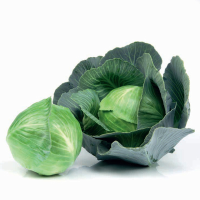 СВ 3404 ЖЛ F1 семена капусты белокочаной (Seminis / Семинис)