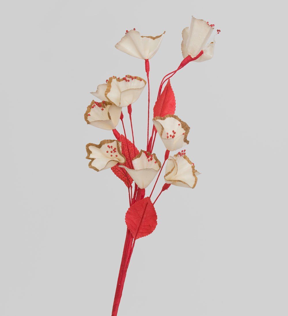 TR 381 Любимая