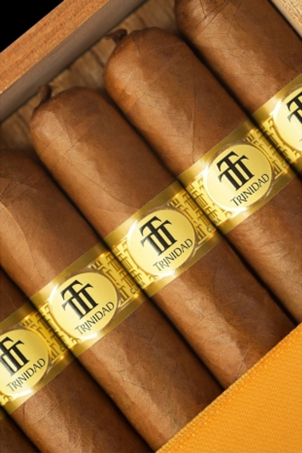 Trinidad Vigia
