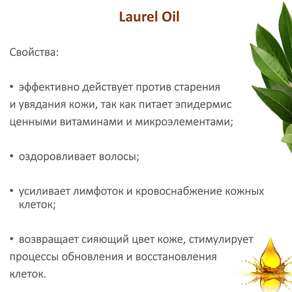 Масло лавра, нерафинированное / Laurel Oil