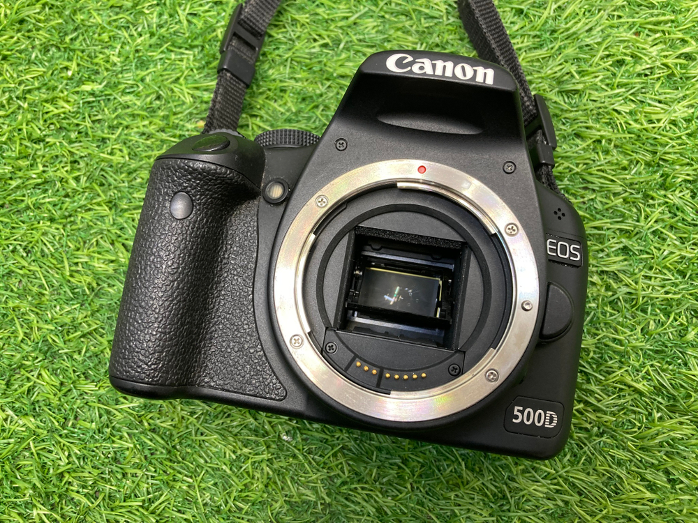 Canon EOS 500D 8.800 кадров